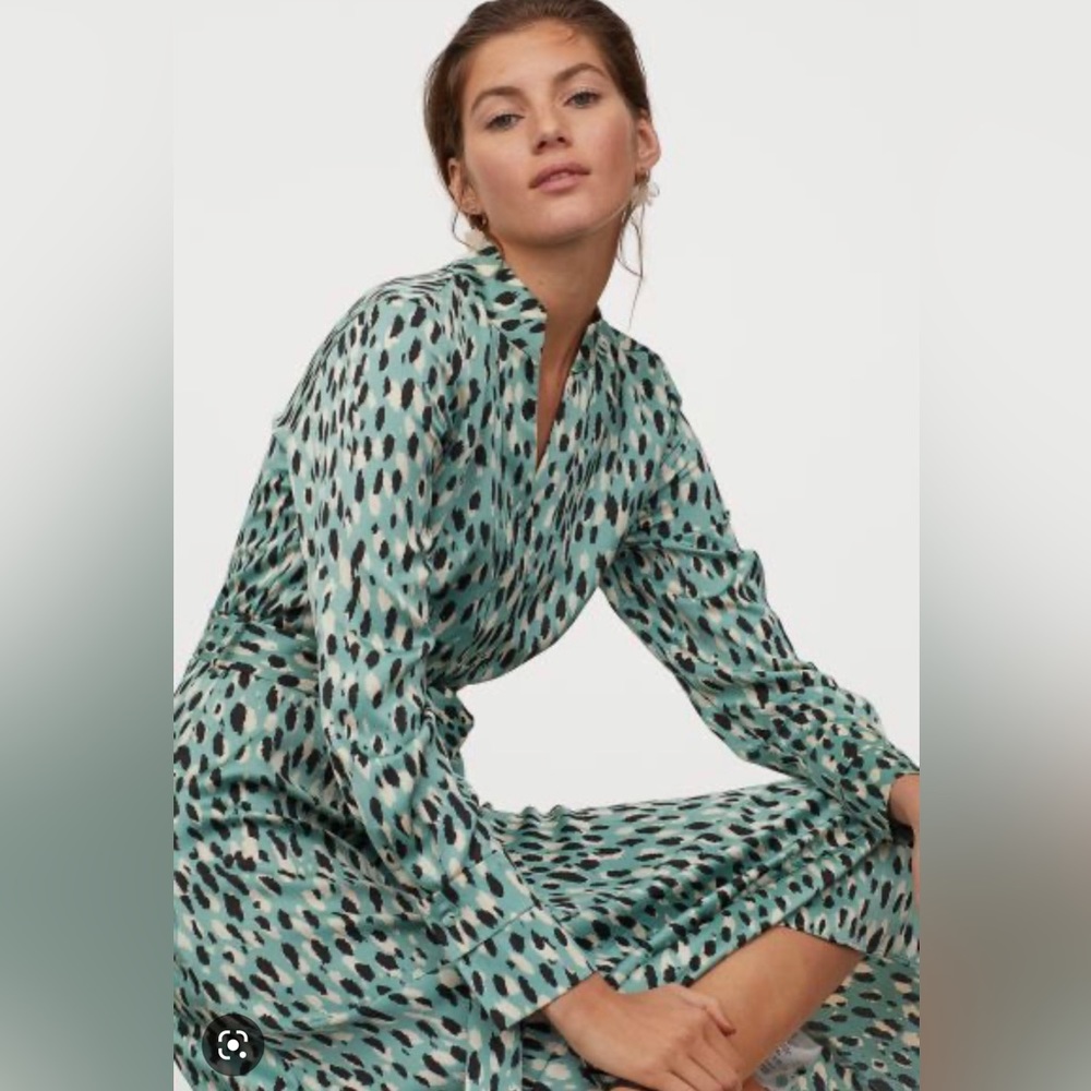 H&M Maxi Dress, Mint Green, Leopard Print